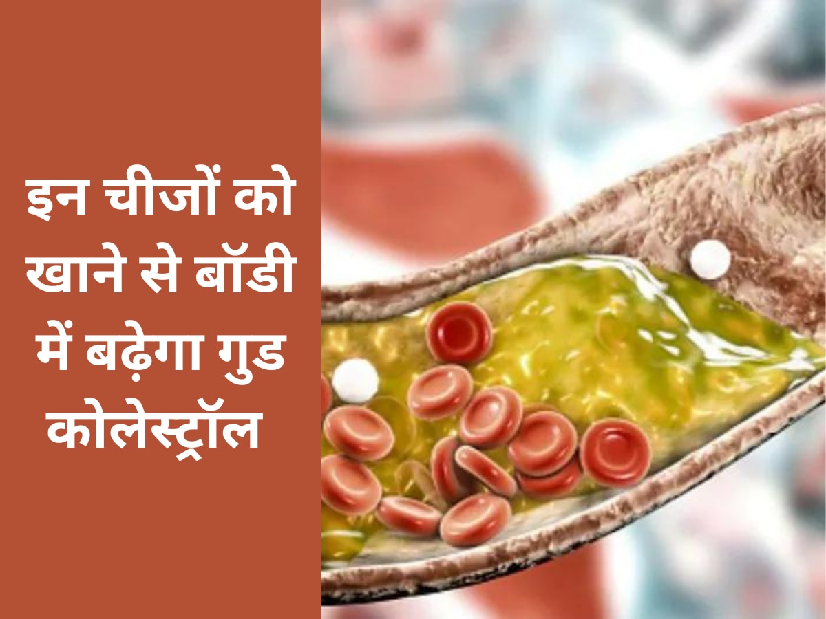 Good Cholesterol: गुड कोलेस्ट्रॉल को बढ़ाने के लिए इन चीजों को बनाएं डाइट का हिस्सा, नहीं होंगे कभी बीमार