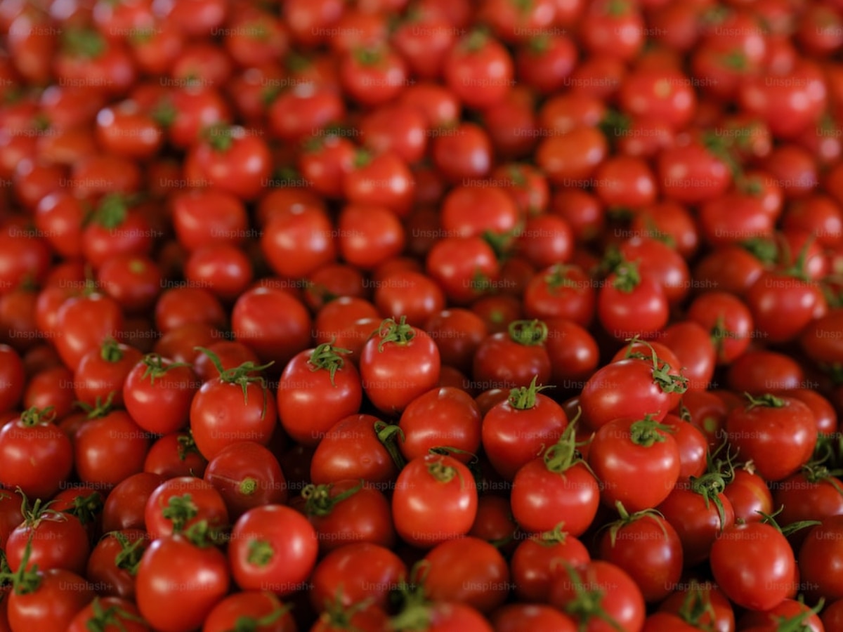 Tomato Benefits: चेहरे से धाग-धब्बों को दूर करने के लिए बस करें ये काम, चमकेगी स्किन!