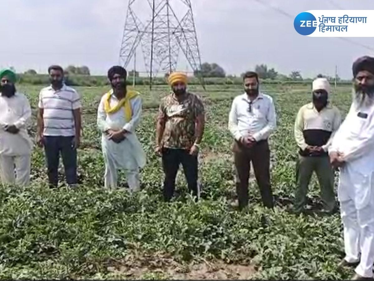 Farmers News: ਮੁੜ ਮੌਸਮ ਦੀ ਮਾਰ ਹੇਠ ਆਏ ਕਿਸਾਨ; ਮੀਂਹ ਕਾਰਨ ਖਰਬੂਜੇ ਤੇ ਹਦਵਾਣੇ ਦੀ ਫਸਲ ਹੋਈ ਖ਼ਰਾਬ