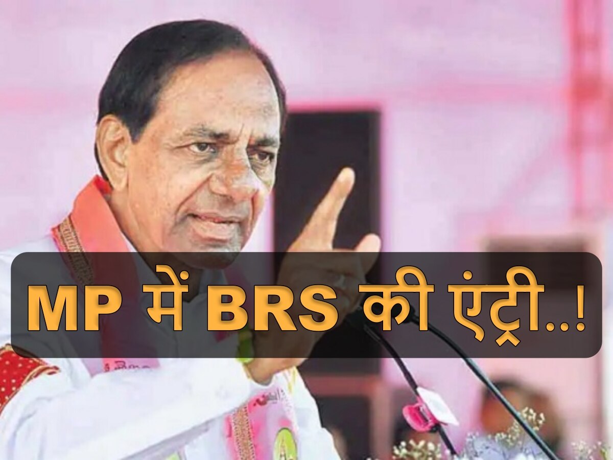 मध्य प्रदेश में KCR की एंट्री से सनसनी! BJP-कांग्रेस के कई दिग्गज BRS में हो सकते हैं शामिल