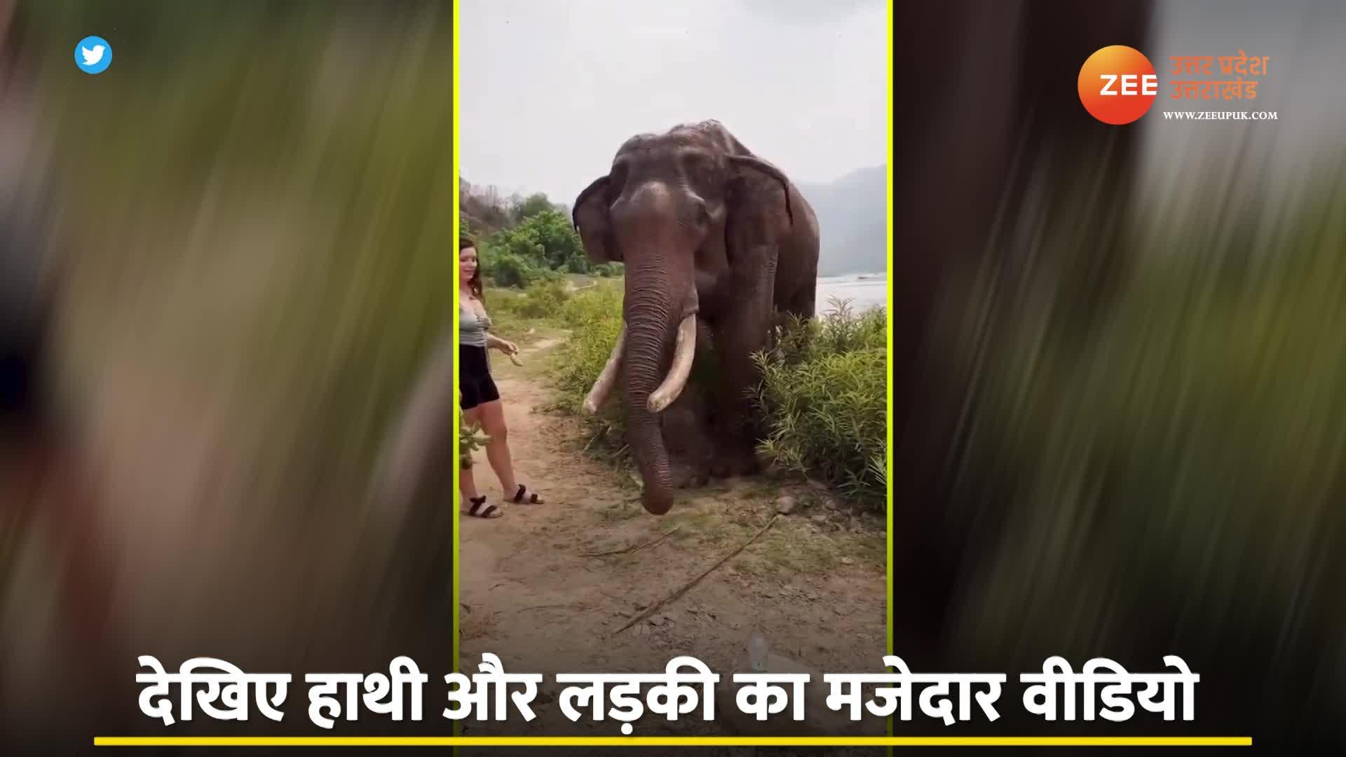 Viral Video: केला लेकर खड़ी थी लड़की, हाथी ने कर दिया काम तमाम