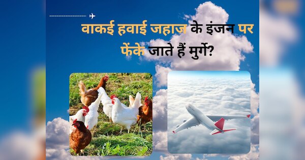 Gk Trending on social media Airplane engines tested chickens thrown at ...