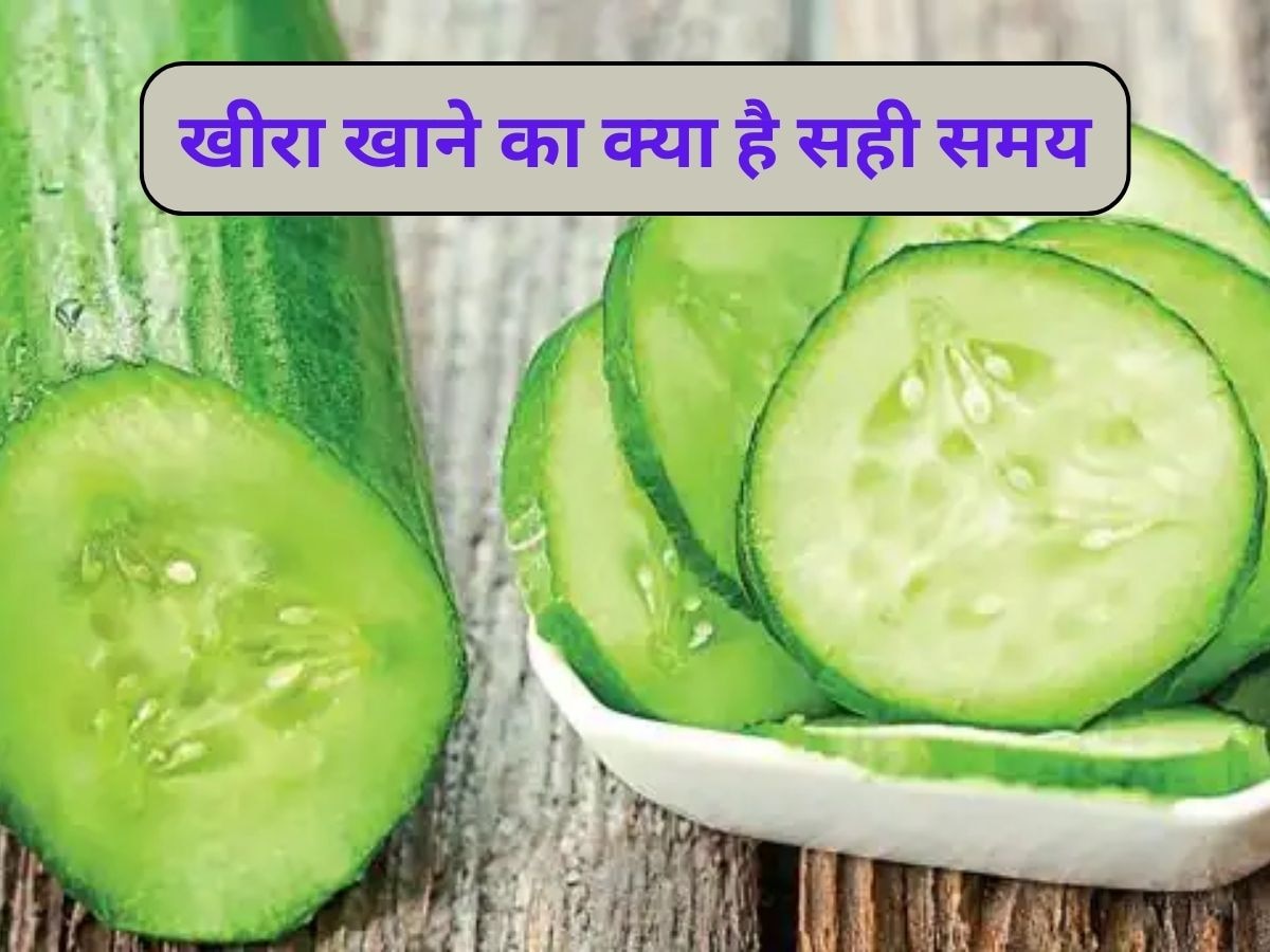 Cucumber Benefits: गर्मियों में खीरा आपकी बॉडी को रखेगा हाइड्रेटेड, जानें इसे खाने का सही समय