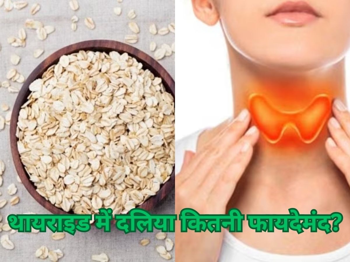 Thyroid Patients Diet: क्या थायराइड के मरीजों को ओट्स खाना चाहिए? जानें सच