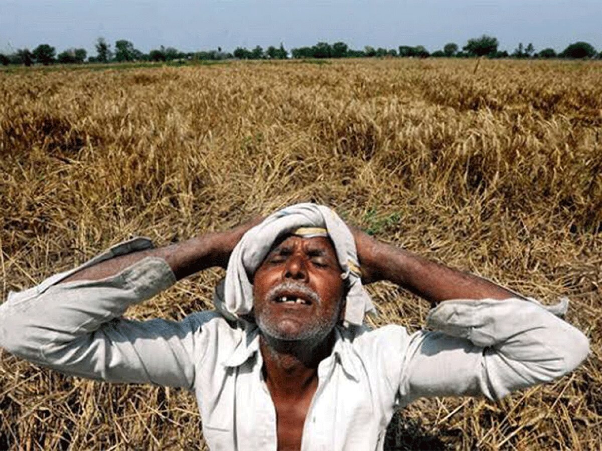 19 हजार से ज्यादा किसानों की जमीन कुर्क, सीएम गहलोत पर झूठ बोलने का बीजेपी का आरोप