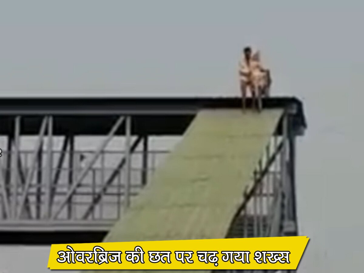 Viral Video: साइकिल लेकर ओवरब्रिज की छत पर चढ़ गया लड़का, नीचे उतरते वक्त हुआ ऐसा