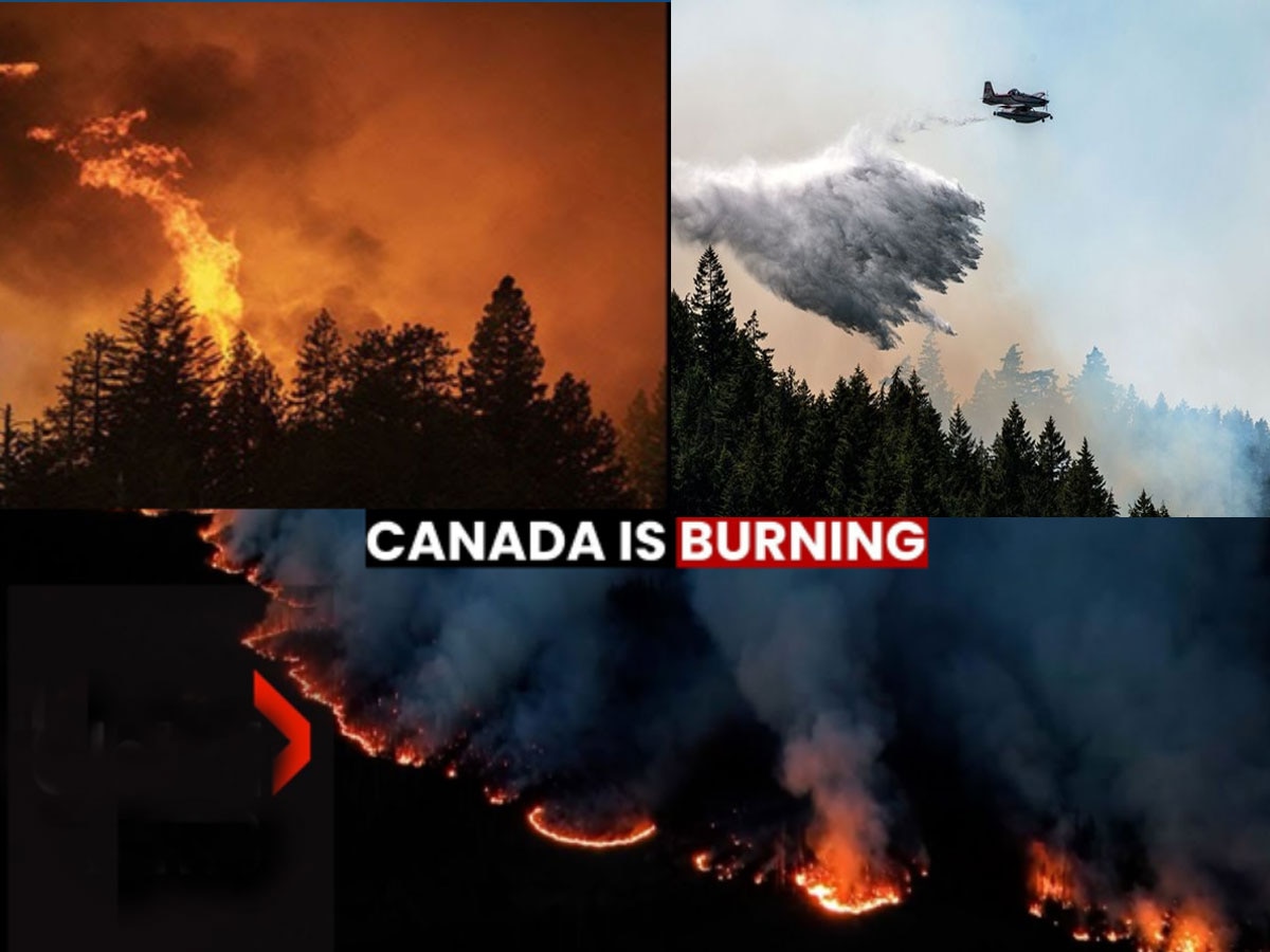 Canada Fire: चारों ओर बस धुंआ ही धुंआ और घुटन... ये आग क्या सबकुछ खाक कर देगी? 