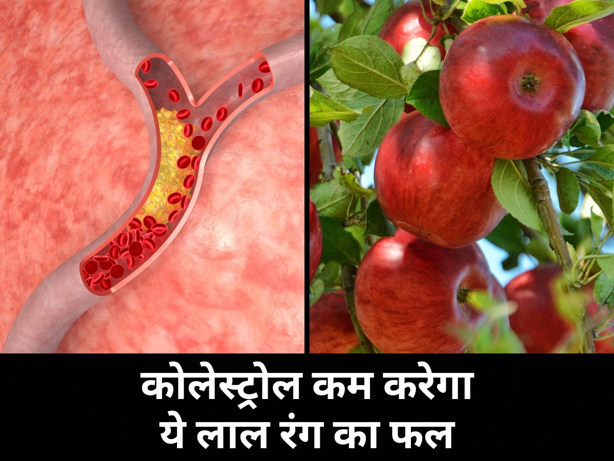 बैड कोलेस्ट्रोल को गला कर बाहर निकाल देगा ये लाल रंग का फल, अन्य फायदे जानकर हैरान हो जाएंगे आप!