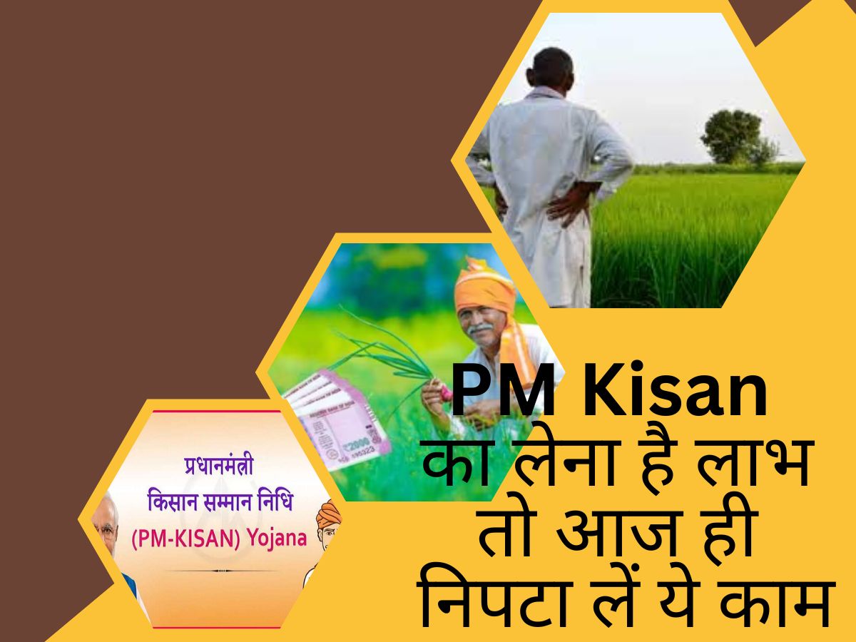किसान भाइयों, जब PM Kisan का लेना है लाभ तो क्यों टालना ये जरूरी काम? आज ही निपटा लें किसान भाइयों, जब PM Kisan का लेना है लाभ तो क्यों टालना ये जरूरी काम? आज ही निपटा लें