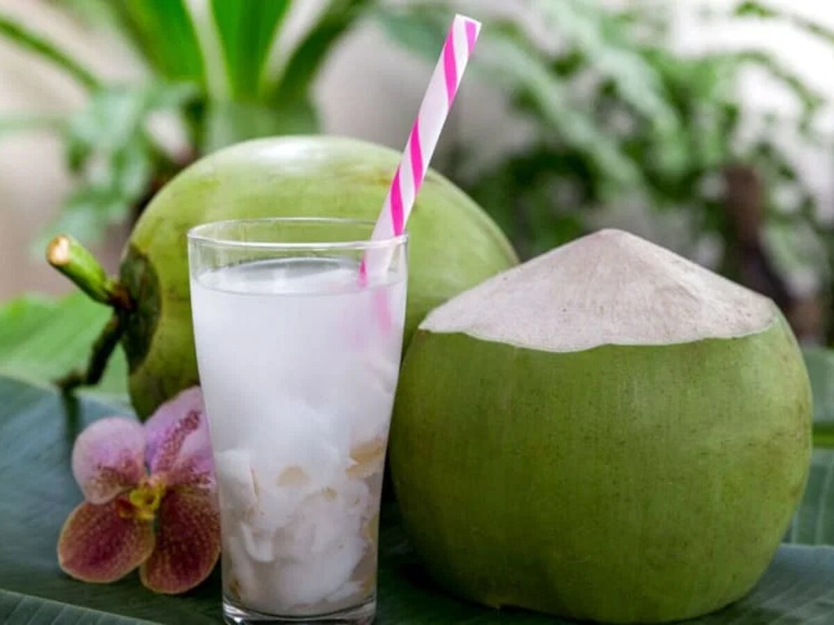 Coconut Water Benefit in Summer season healthy drink nariyal pani ke