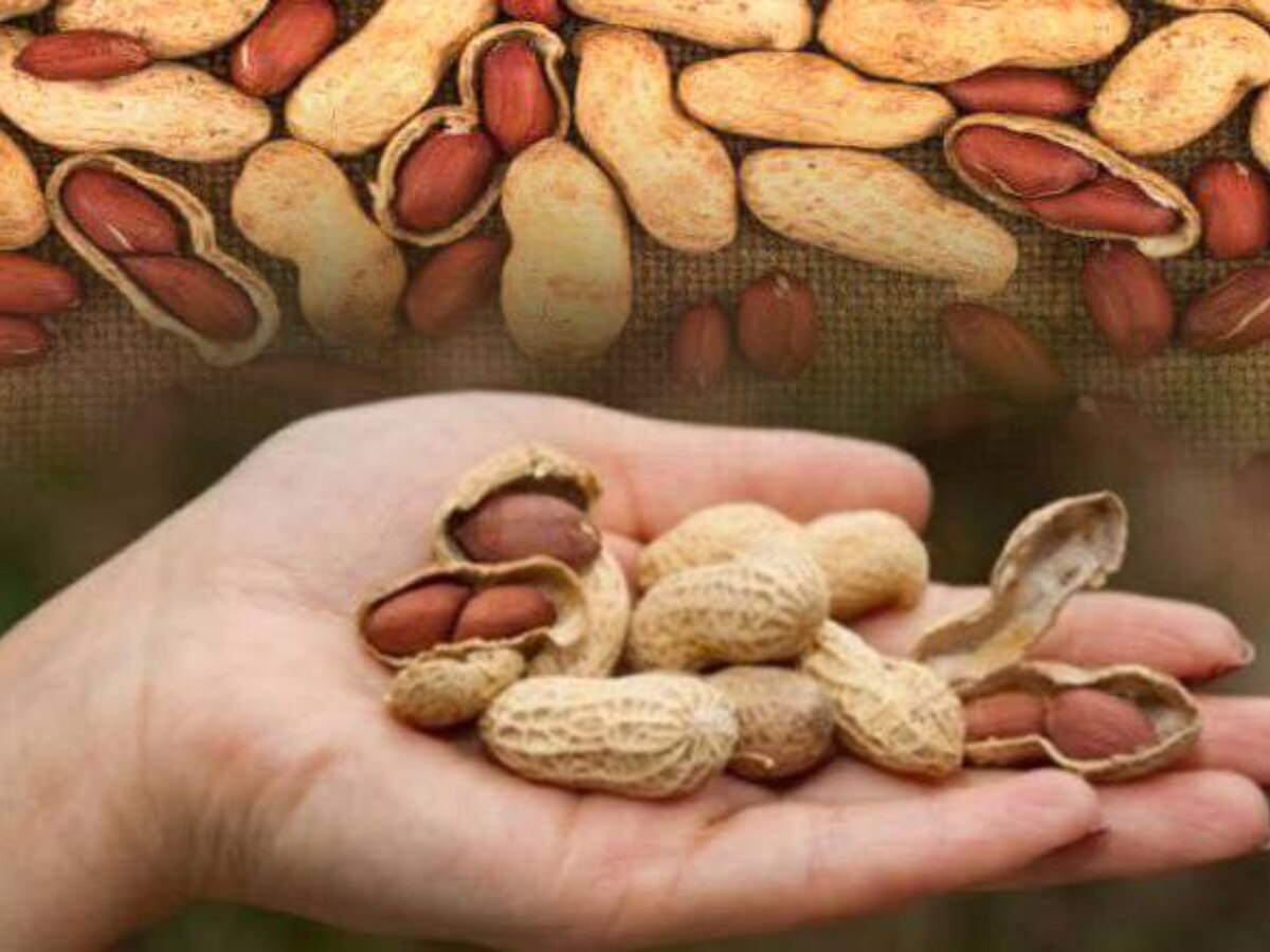 10 benefits of peanuts in hindi Health tips of mungfali khane ke fayde