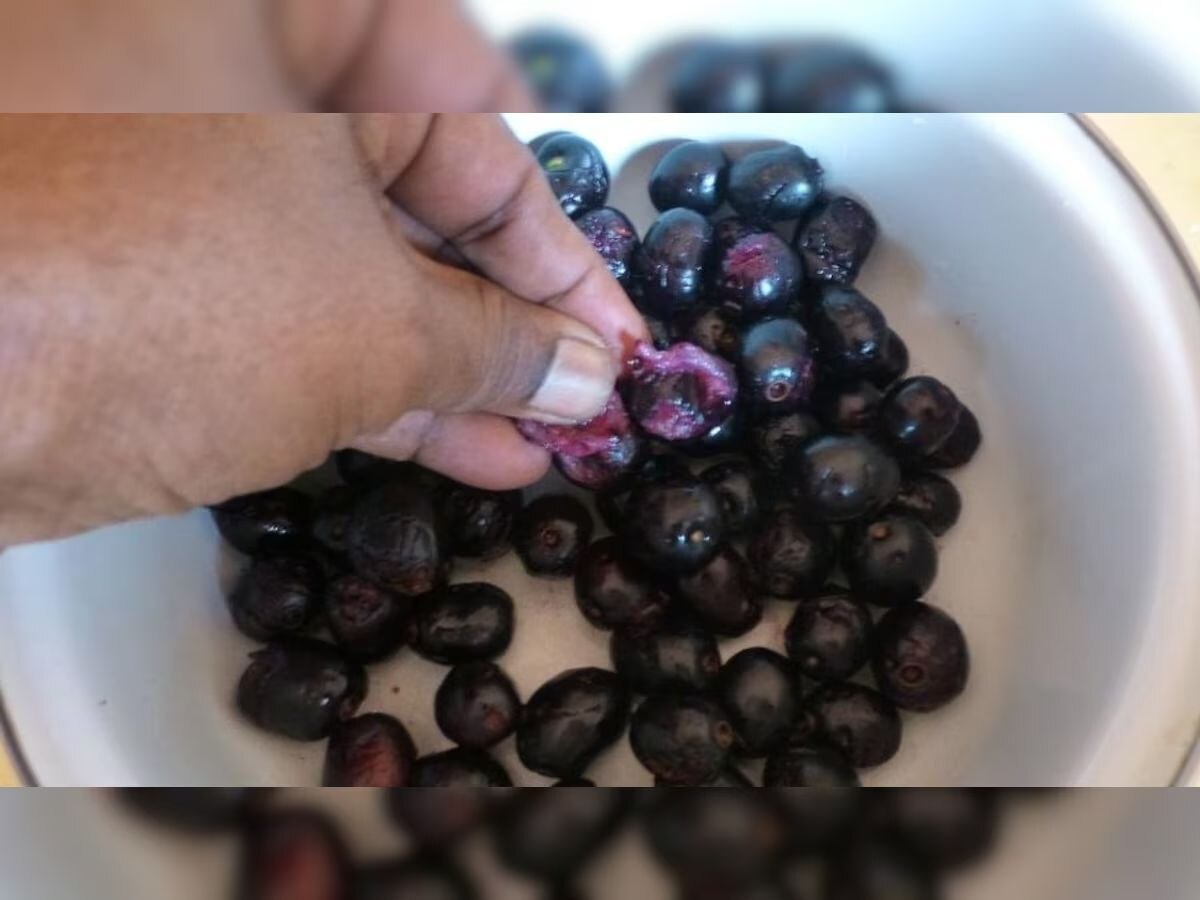 jamun seeds