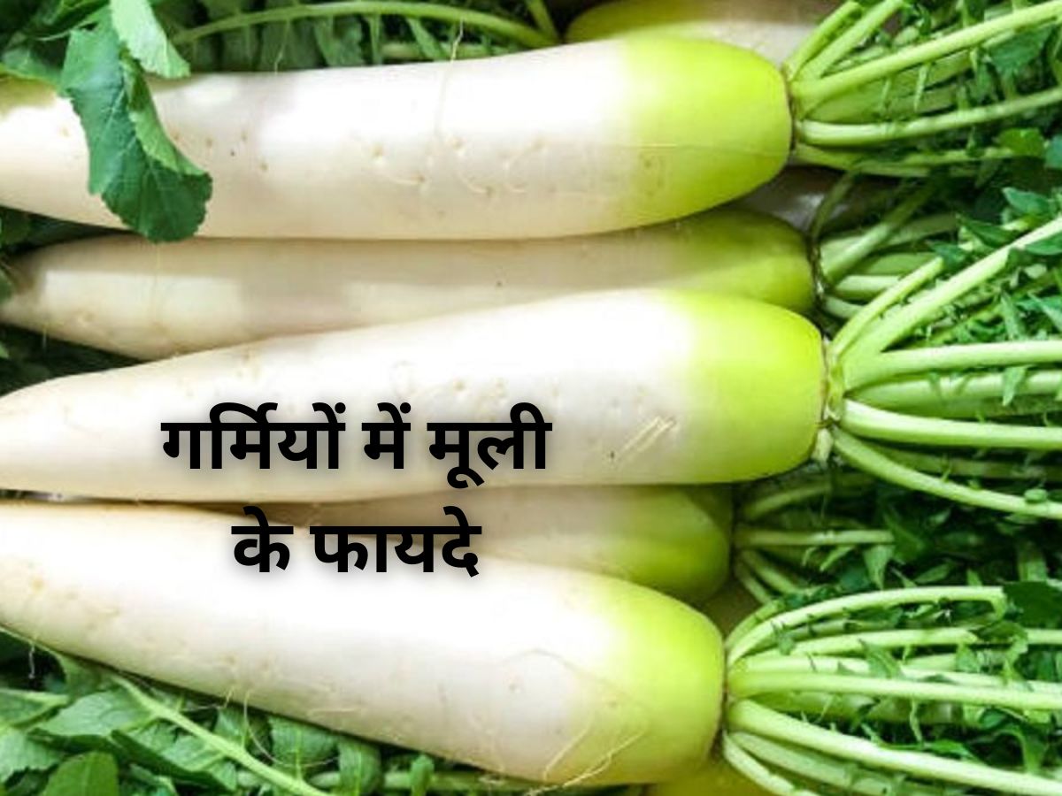 include radish in diet in summers benefits for health high fiber food
