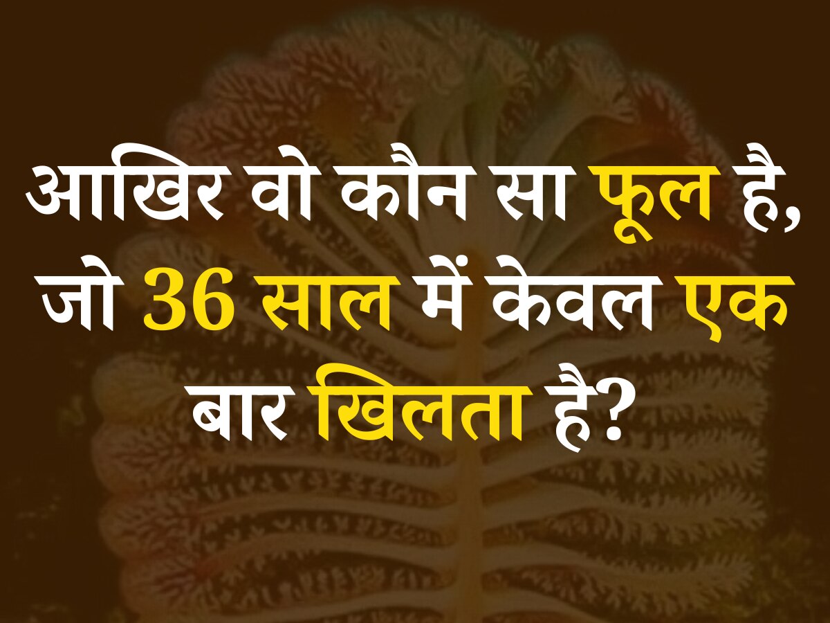 Quiz: बताएं आखिर ऐसा कौन सा फूल है, जो 36 साल में केवल एक बार खिलता है?