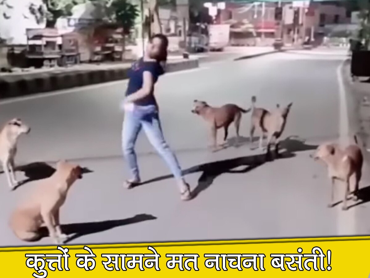 कुत्तों के सामने नाचने लगी लड़की तो Video देखकर लोग बोले- असली बसंती तो ये है...