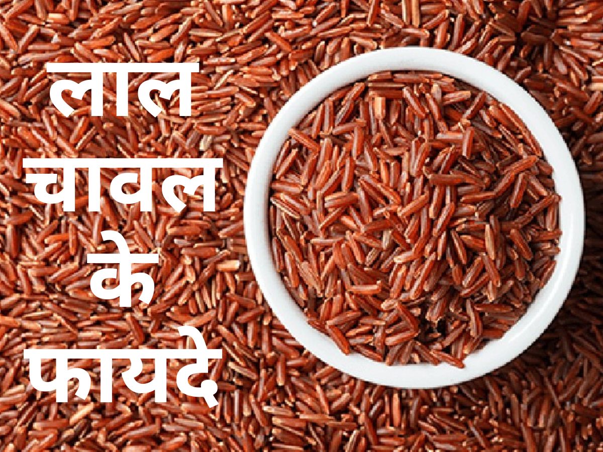 Lal Chawal Khane Ke Fayde 5 Benefits Of Red Rice Eating Daily Weight