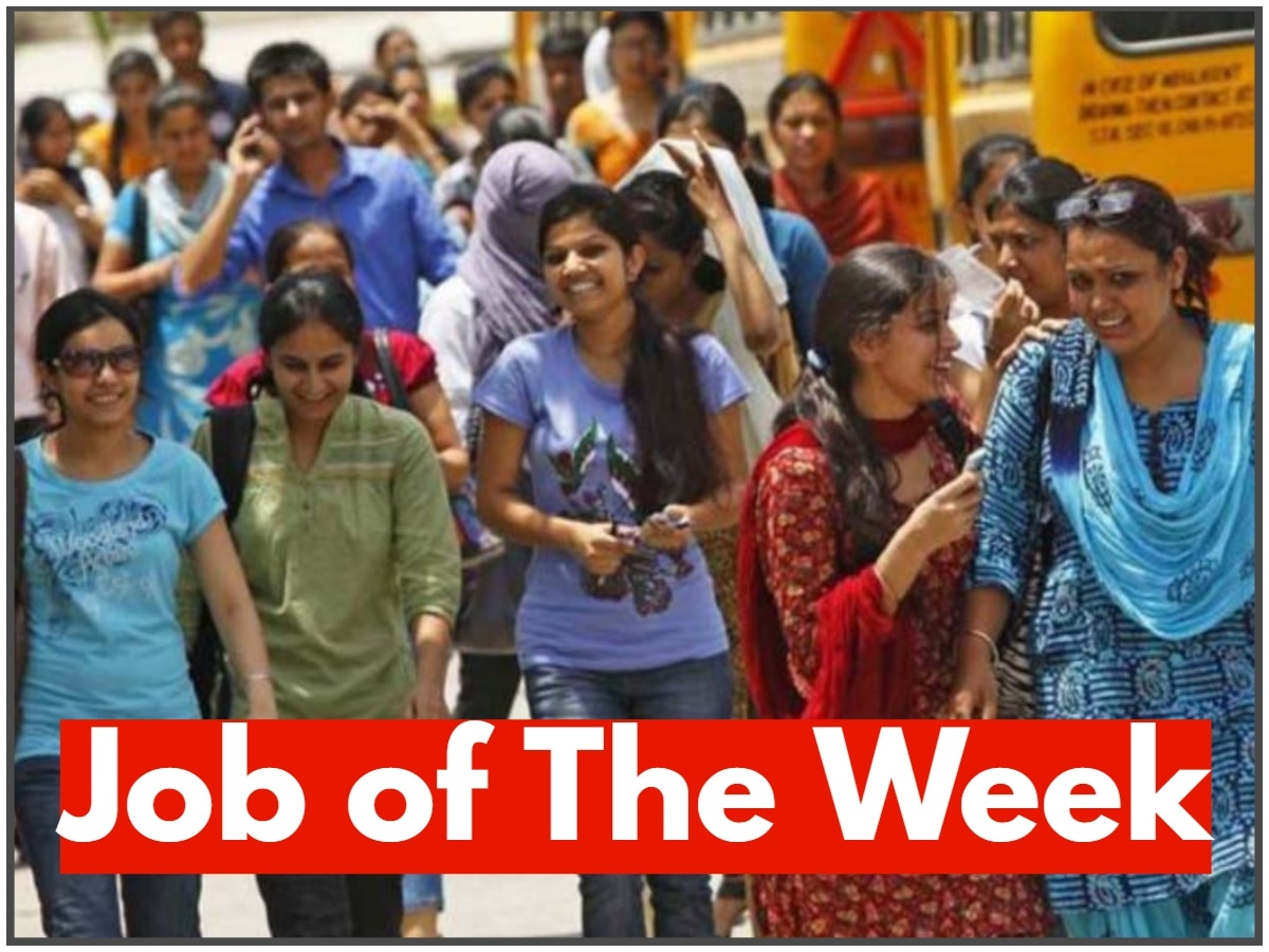 Job of The Week: यूपी, बिहार, हरियाणा और राजस्थान समेत इन राज्यों में निकली हैं सरकारी नौकरी