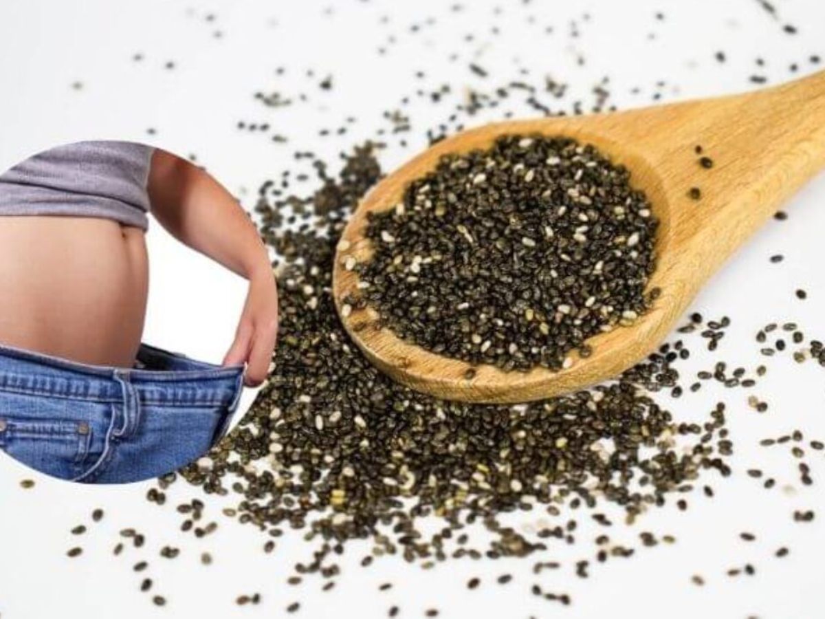 Chia Seeds Side Effects For Health Not Only Benefits Avoid Eating Too ...