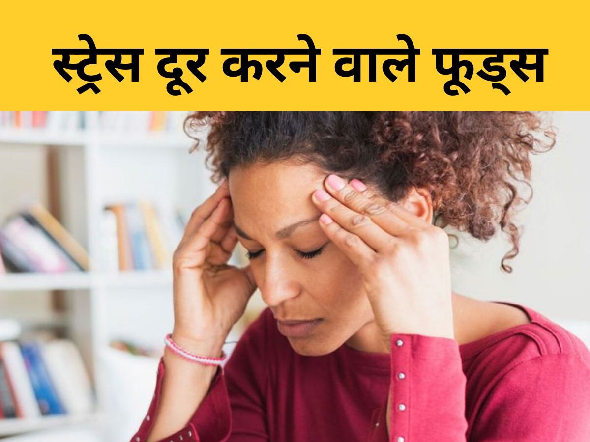 Stress Buster Foods: दिमाग पर हावी होने लगा है स्ट्रेस, इन 5 फूड्स को खाकर दूर होगी टेंशन