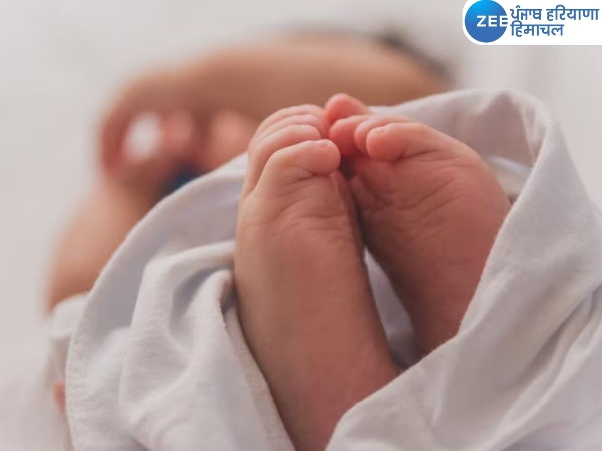 'Miracle' Baby News: ਕੁਦਰਤ ਦਾ ਚਮਤਕਾਰ! 4 ਹੱਥ..4 ਪੈਰ..2 ਦਿਲ ਅਤੇ ਇੱਕ ਸਿਰ ਵਾਲੀ ਬੱਚੀ ਦਾ ਹੋਇਆ ਜਨਮ