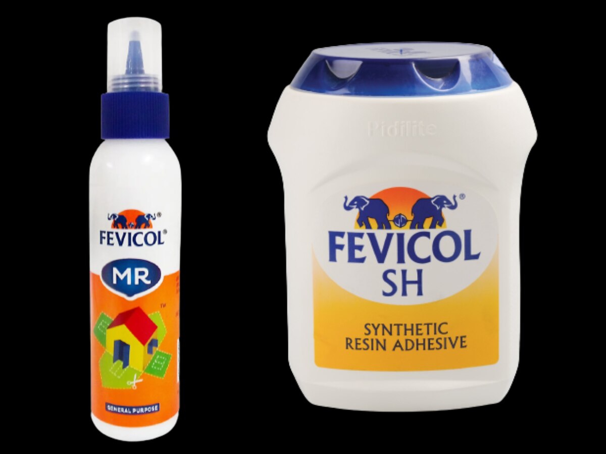 trending gk quiz why fevicol does not stick to the bottle in which it