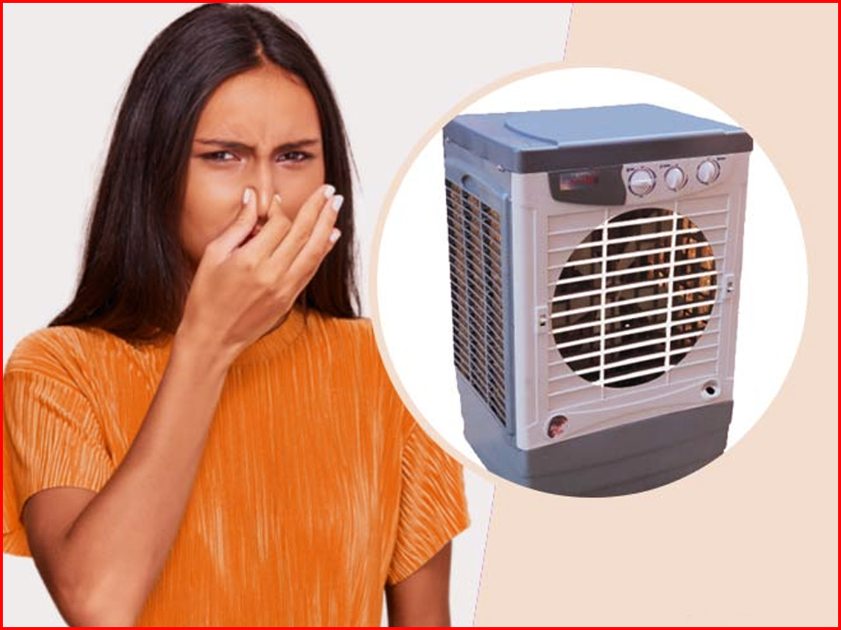 Cooler से आ रही है मछली जैसी बदबू? तुरंत करें ये देसी जुगाड़, मिनटों में गंध के साथ Germs भी जाएंगे दूर Cooler से आ रही है मछली जैसी बदबू? तुरंत करें ये देसी जुगाड़, मिनटों में गंध के साथ Germs भी जाएंगे दूर