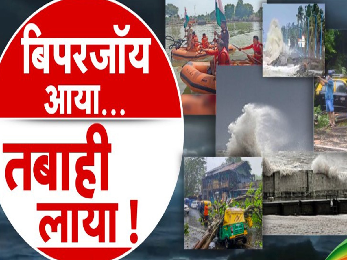 उखड़ गए पेड़, गुल हो गई बिजली, 23 जानवरों की मौत...महातूफान बिपरजॉय से जुड़े ये हैं बड़े अपडेट 