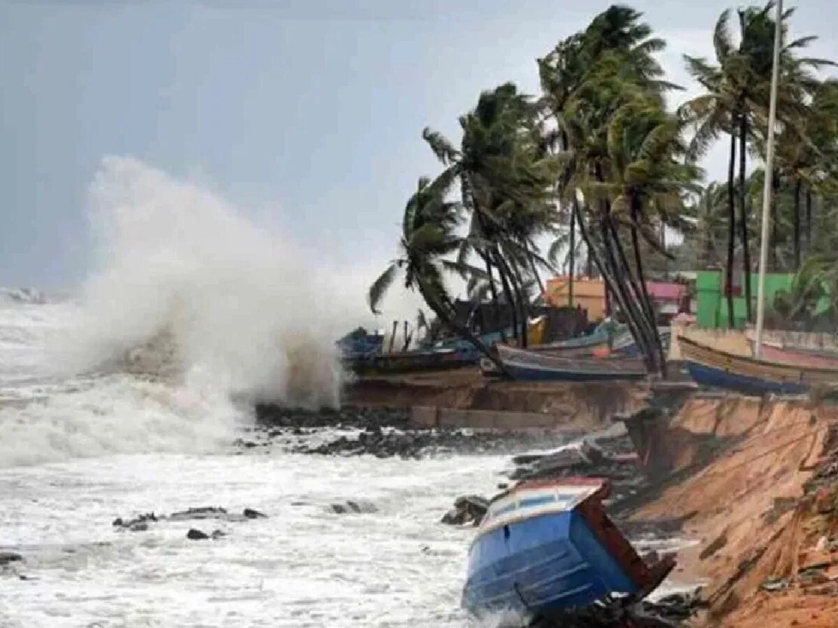 Cyclone Biporjoy Impact In Madhya Pradesh Chhattisgarh IMD Issued Storm ...