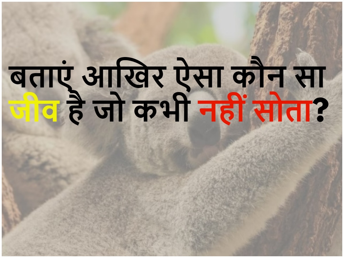 Trending GK Quiz Tell me which is the animal that never sleeps GK