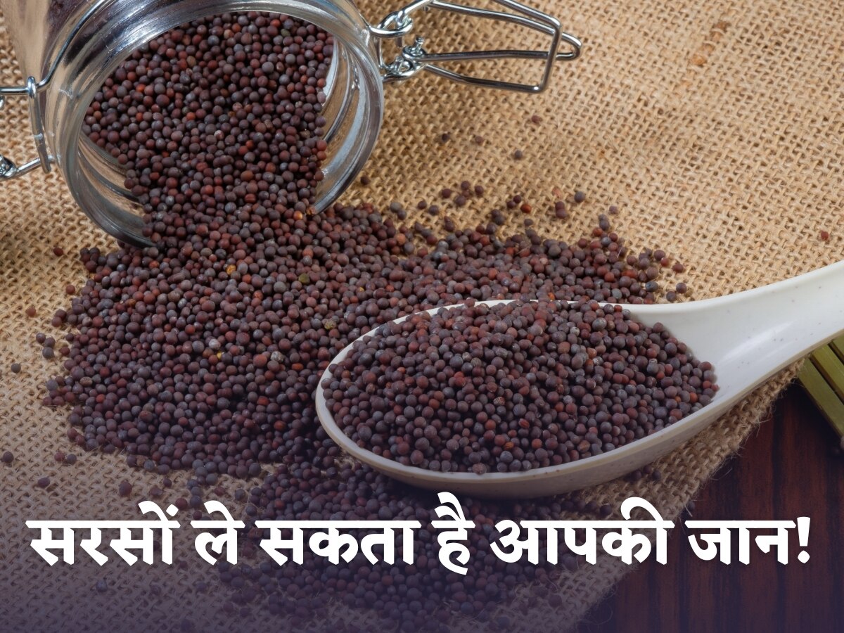 Mustard Side Effects Mustard eaten in the wrong way will lead to death