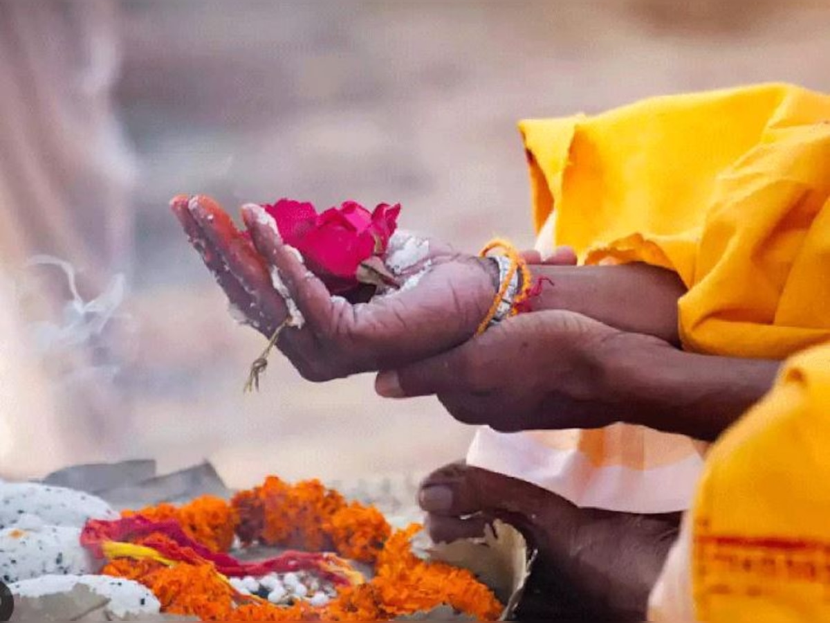 Ashadha Amavasya 2023: आषाढ़ अमावस्या पर पितृ शनि और काल सर्प दोष से पाएं मुक्ति, करने होंगे ये उपाय