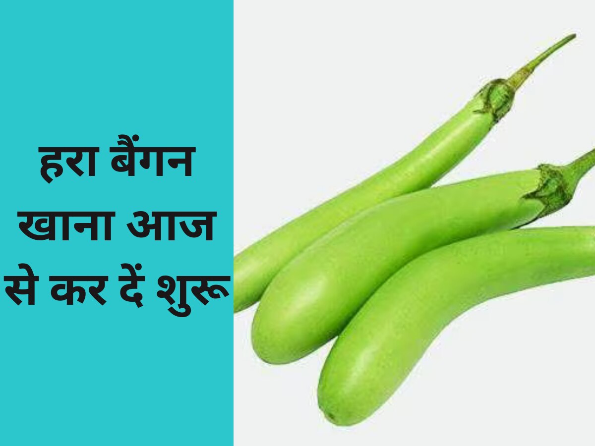health tips benefits of eating green brinjal Green Brinjal हरा बैंगन