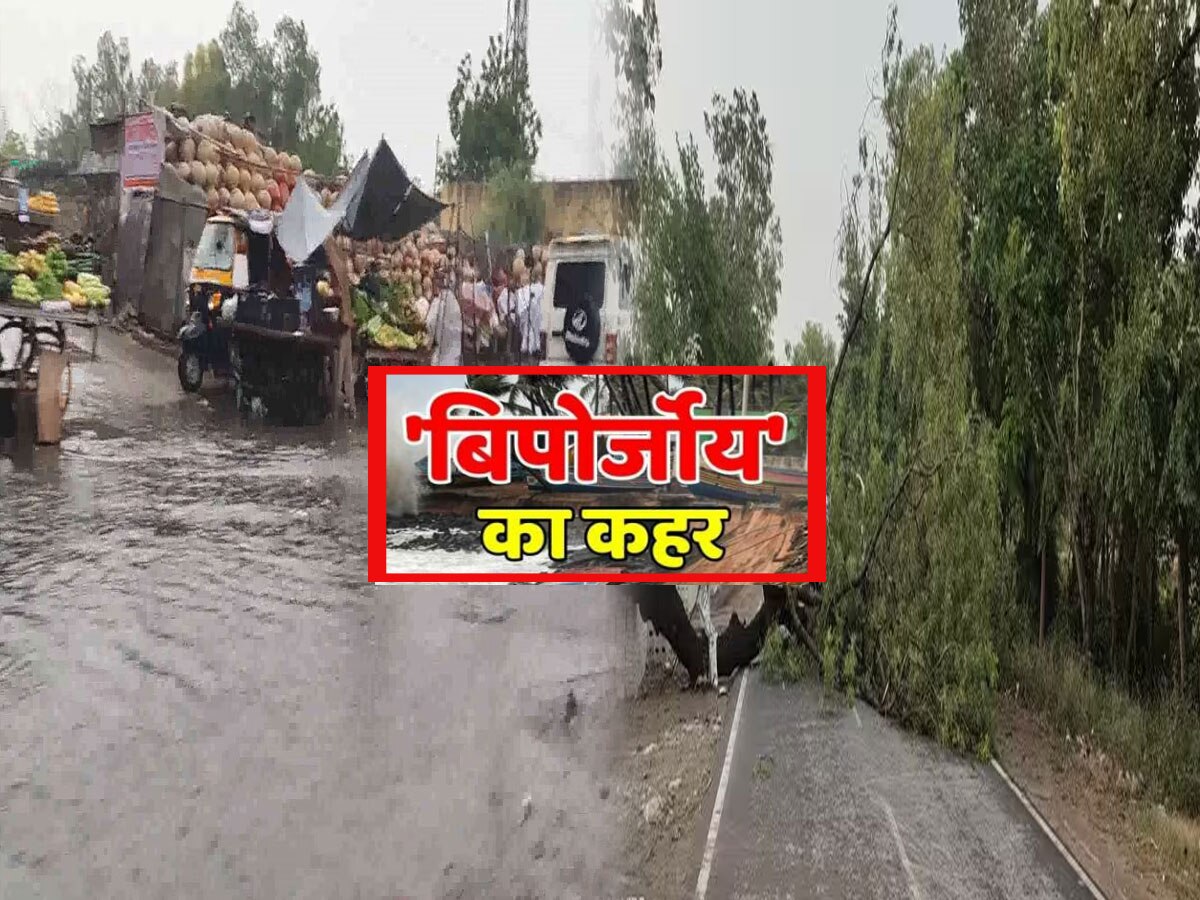 Cyclone Biparjoy: बाड़मेर-जालोर में बिपोर्जॉय का कहर, उखड़ गए पेड़, लबालब हुईं सड़कें