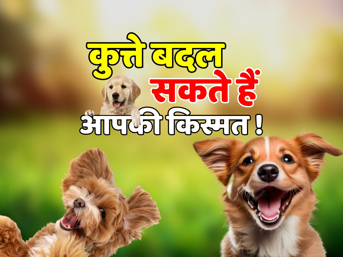 Vastu Tips Pet dog to change luck which color dog best Vastu Tips