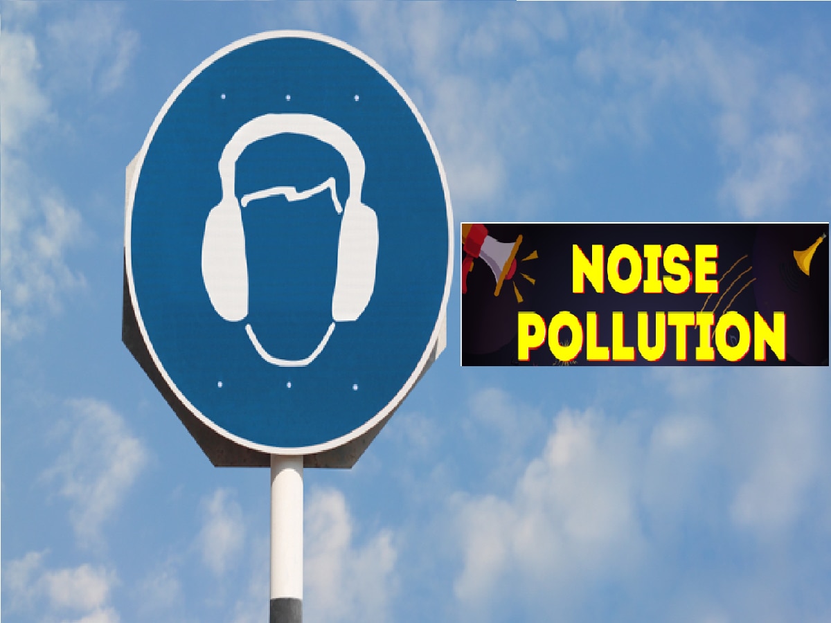 Noise Pollution (फाइल फोटो)