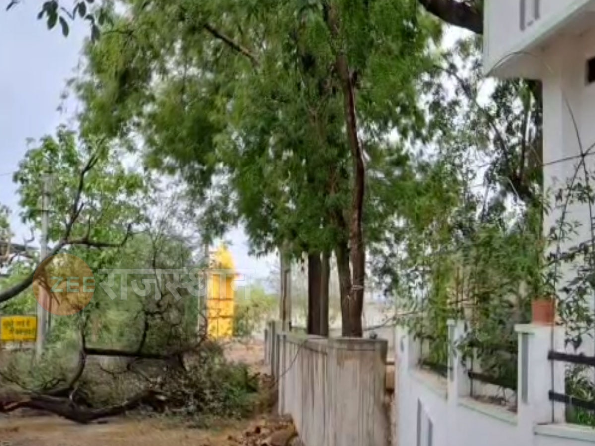 प्रतापगढ़ में बिपरजॉय का असर, तेज हवा के साथ बारिश, करंट से तीन भैंसों की हुई मौत