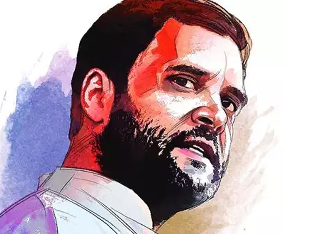 राहुल गांधी, कांग्रेस नेता 