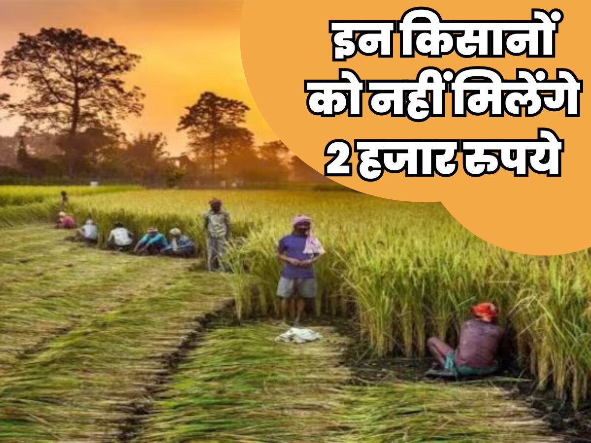 PM Kisan Yojana: 14वीं किस्त की तारीख और लिस्ट तैयार! ऐसे चेक करें आपको 2000 रुपये मिलेंगे या नहीं