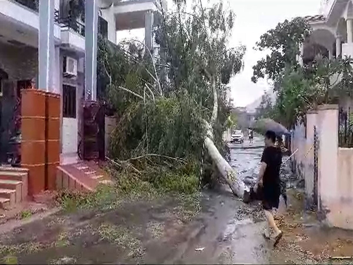 जालोर में Cyclone Biparjoy का कहर, कहीं गिरे पेड़, कहीं जलभराव ने किया परेशान