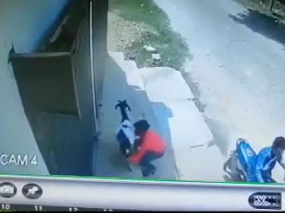 Bahraich Goat Thieves CCTV Photo