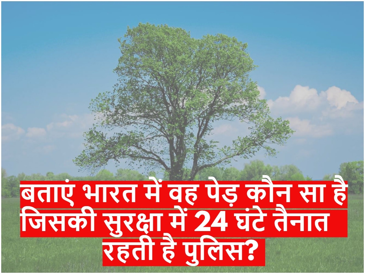 QUIZ: बताएं भारत में वह पेड़ कौन सा है जिसकी सुरक्षा में 24 घंटे तैनात रहती है पुलिस? 