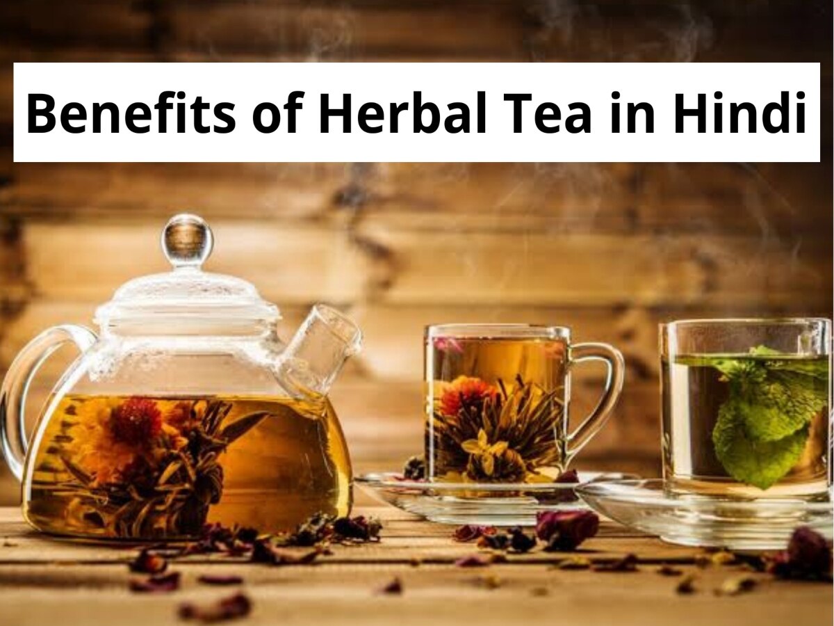 Herbal Tea: रोजाना सुबह पीएं 1 कप हर्बल टी, एसिडिटी, माइग्रेन और मतली कह देंगे अलविदा