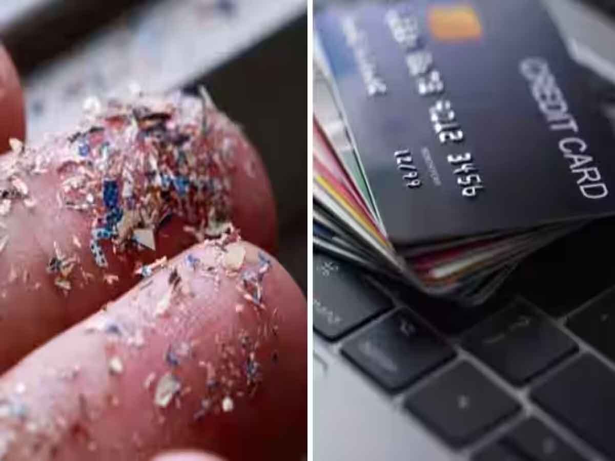 मनुष्य हर हफ्ते निगल सकता है 'एक क्रेडिट कार्ड के बराबर' प्लास्टिक, नए अध्ययन में खुलासा