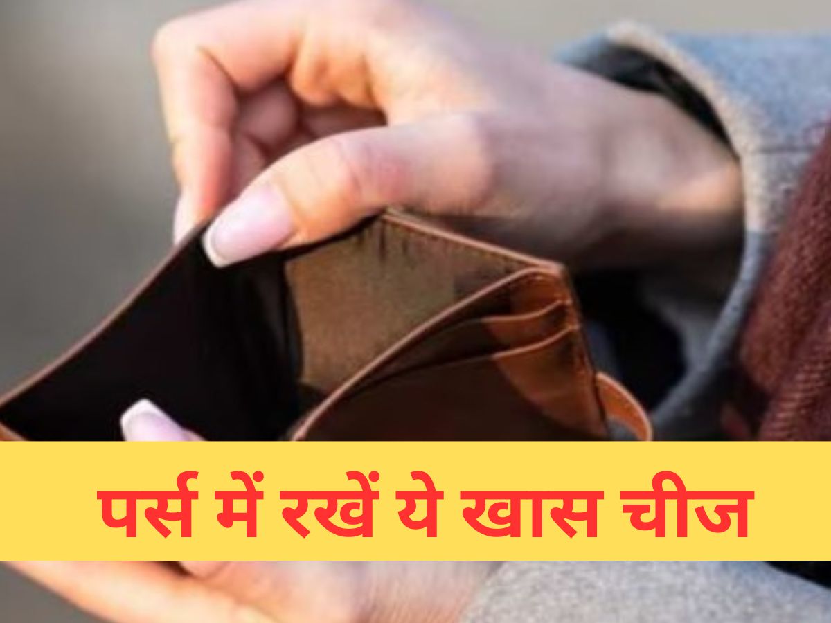 5 Things Every Woman Should Have In Her Handbag - Amar Ujala Hindi News  Live - लड़कियों के पर्स में छिपे होते हैं ये Secrets