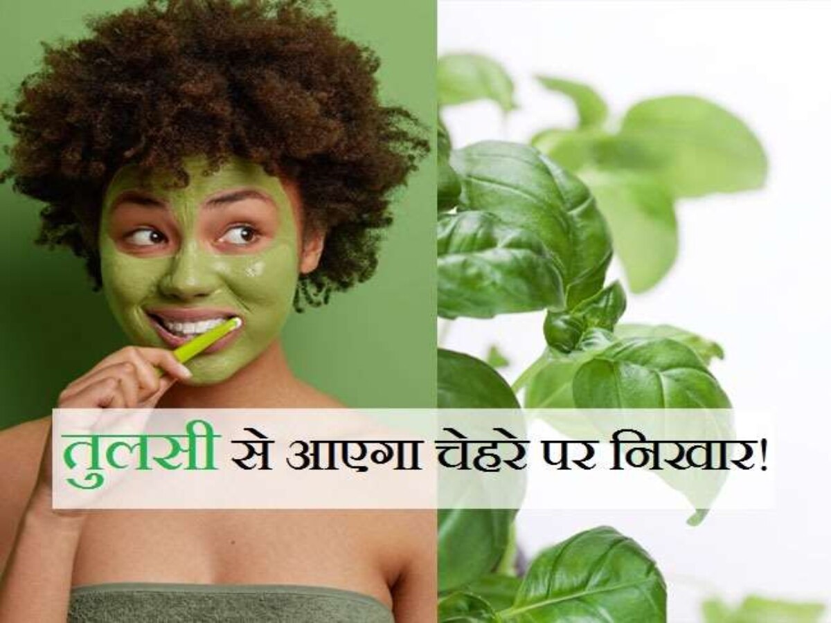 Tulsi Leaves Face Scrub To Get Clear Glowing Skin In Hindi Hindi News