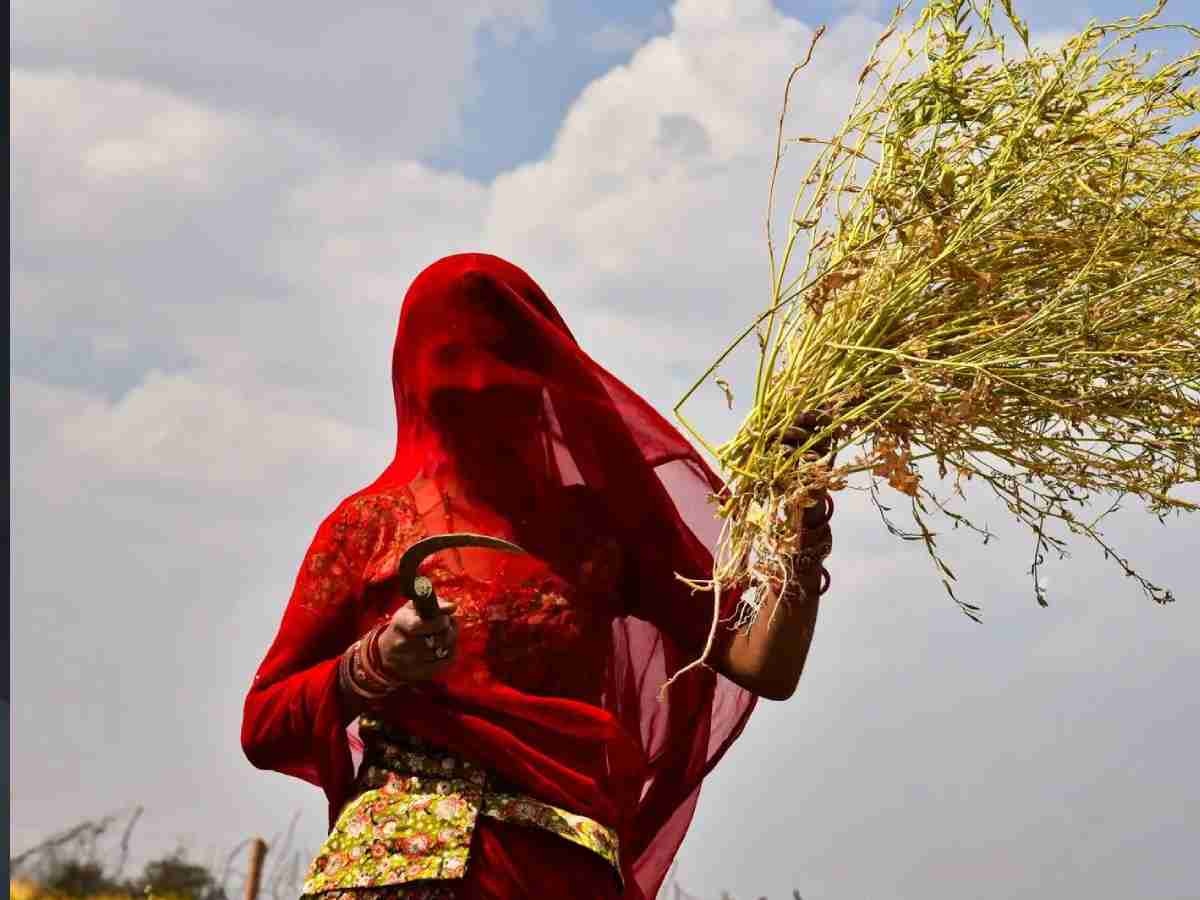 240 घंटें का इंतजार और... राजस्थान के लिए आने वाली है खुशखबरी