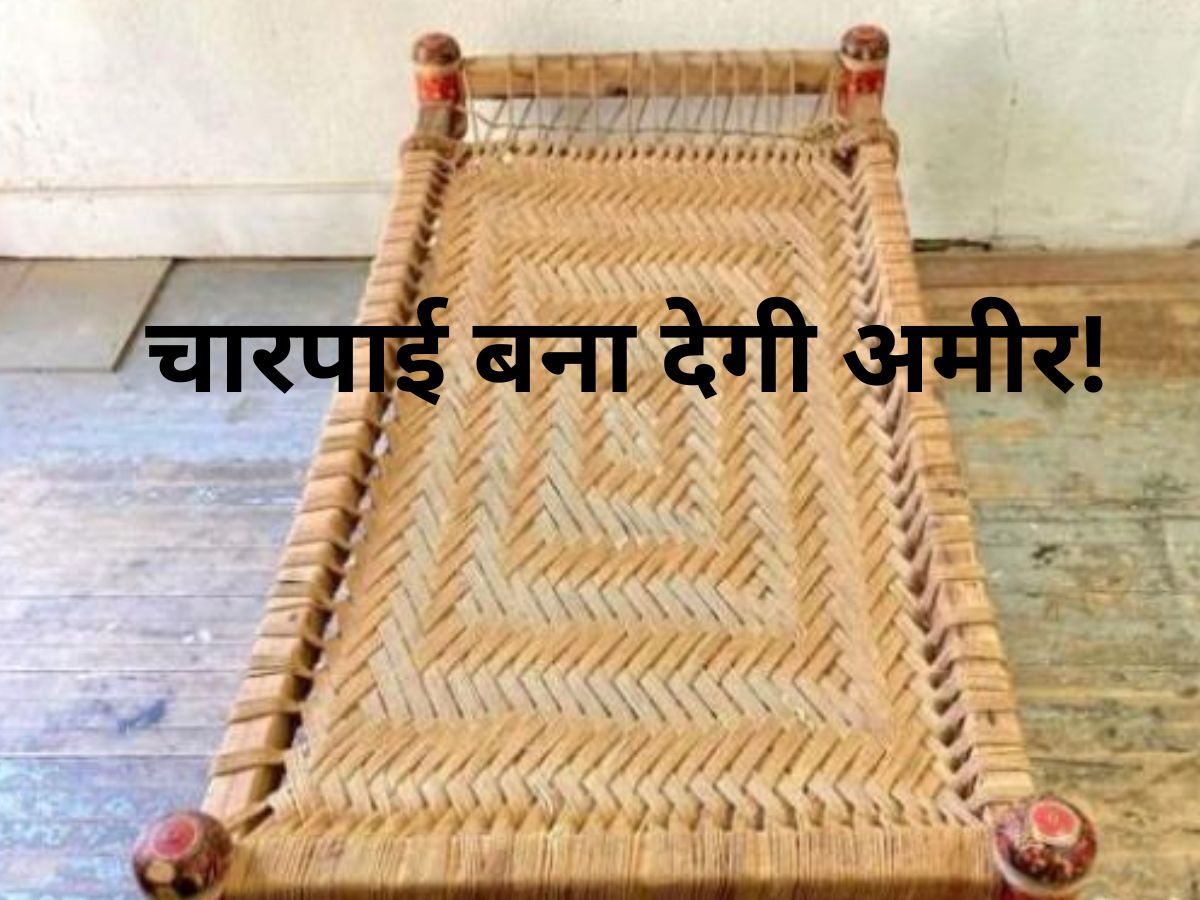 desi cot price can make you rich businessman देसी खाट वाला बिजनेस