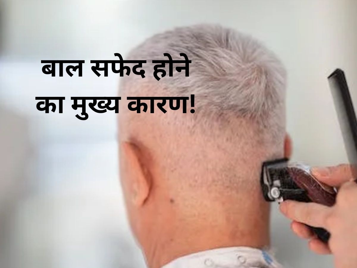 White Hair: आखिर क्यों सफेद हो जाते हैं बाल, कारण जान लीजिए..हैरान रह जाएंगे आप