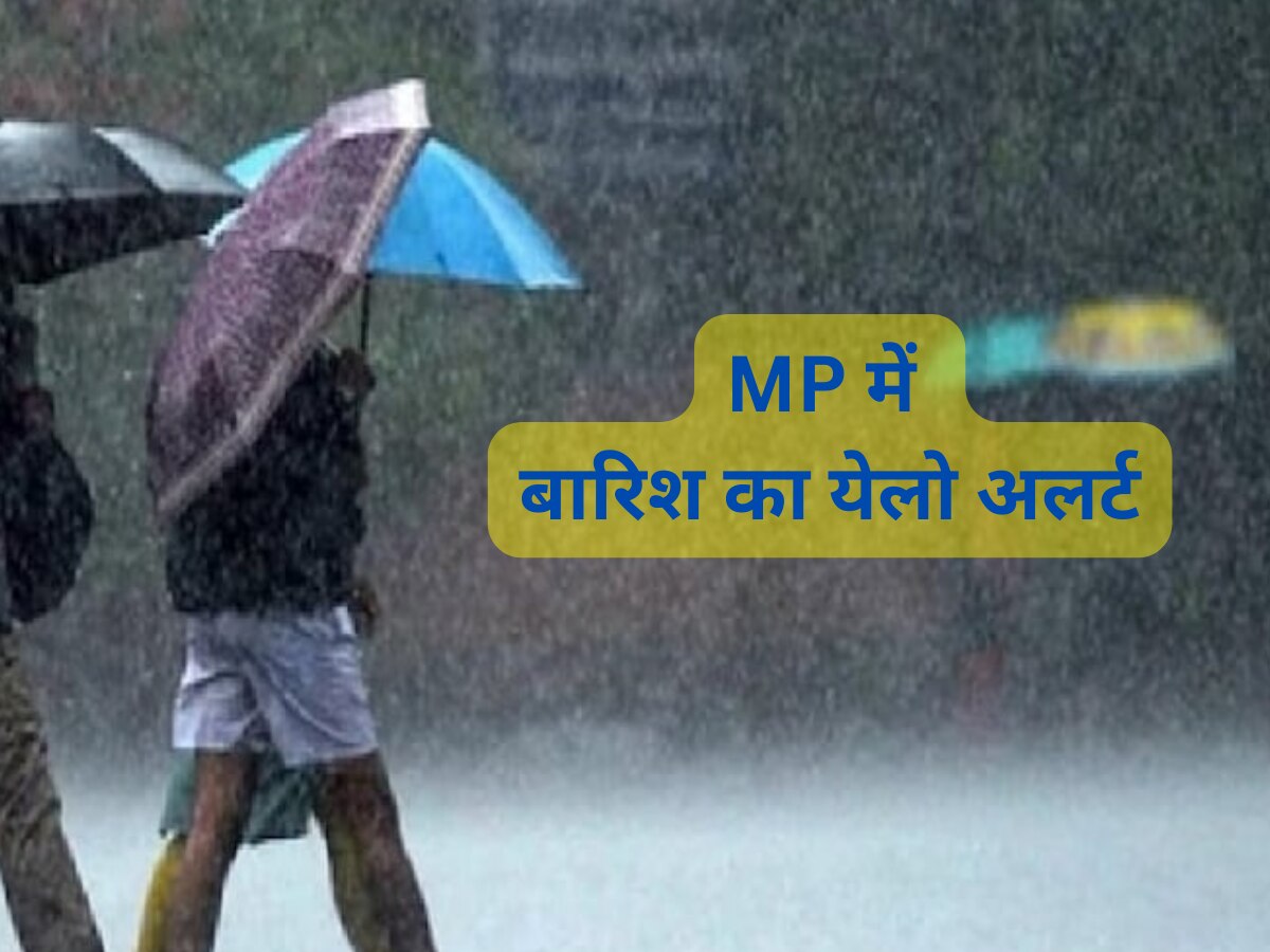 Today Weather Update : MP के इन जिलों में जारी हुआ बारिश का येलो अलर्ट, ऐसा रहेगा छत्तीसगढ़ का मौसम, जानें अपने जिले का हाल