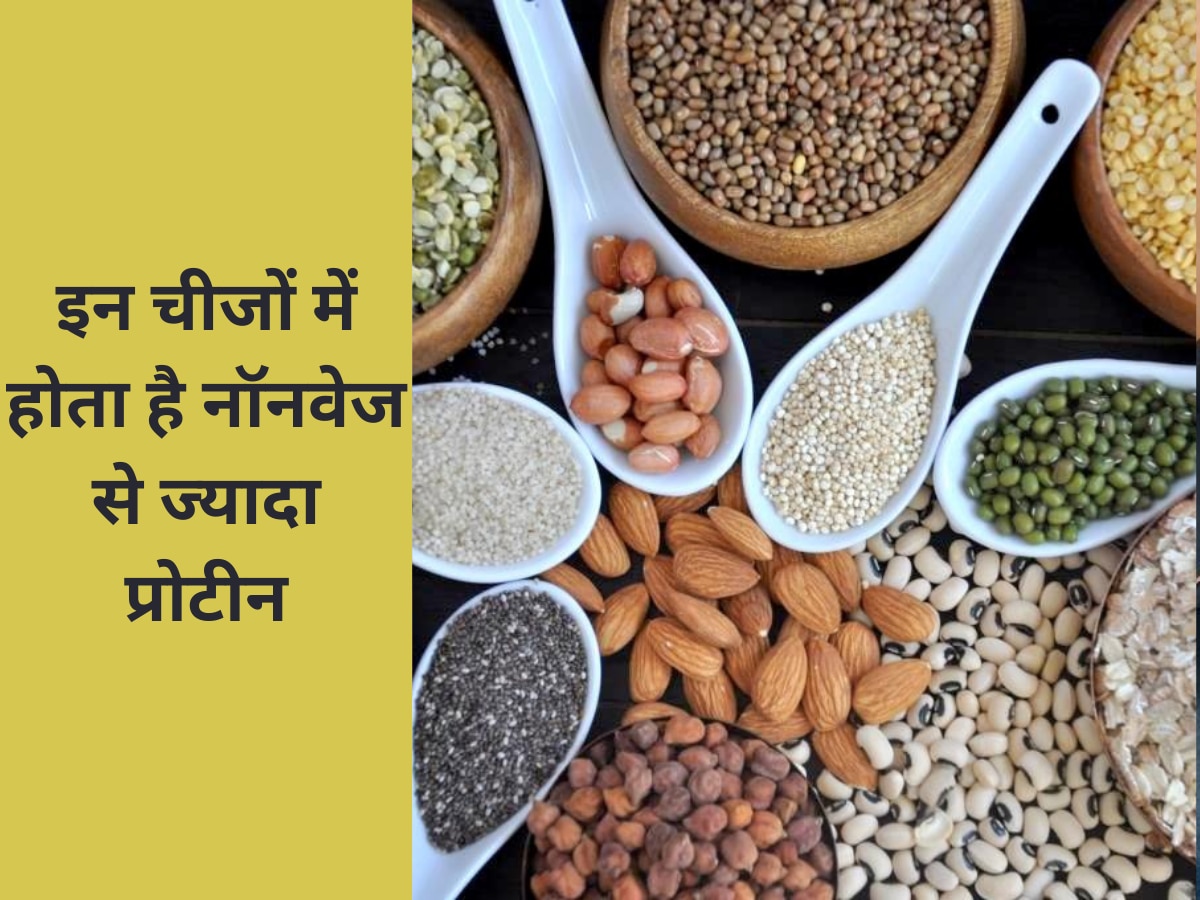 health tips vegetarian Protein Rich Food Vegetarian Protein Rich Food